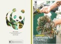 BUDIDAYA KERANG HIJAU ( perna viridis )