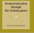 Democratization through the looking-glass