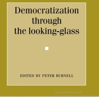 Image of Democratization through the looking-glass